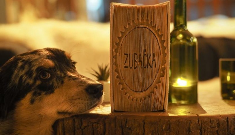 Hotel CROCUS **** Vysoké Tatry